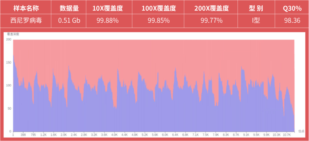 基孔肯雅熱疫情警報！真邁生物聯(lián)合柏熠科技發(fā)布蟲媒病原體測序整體解決方案