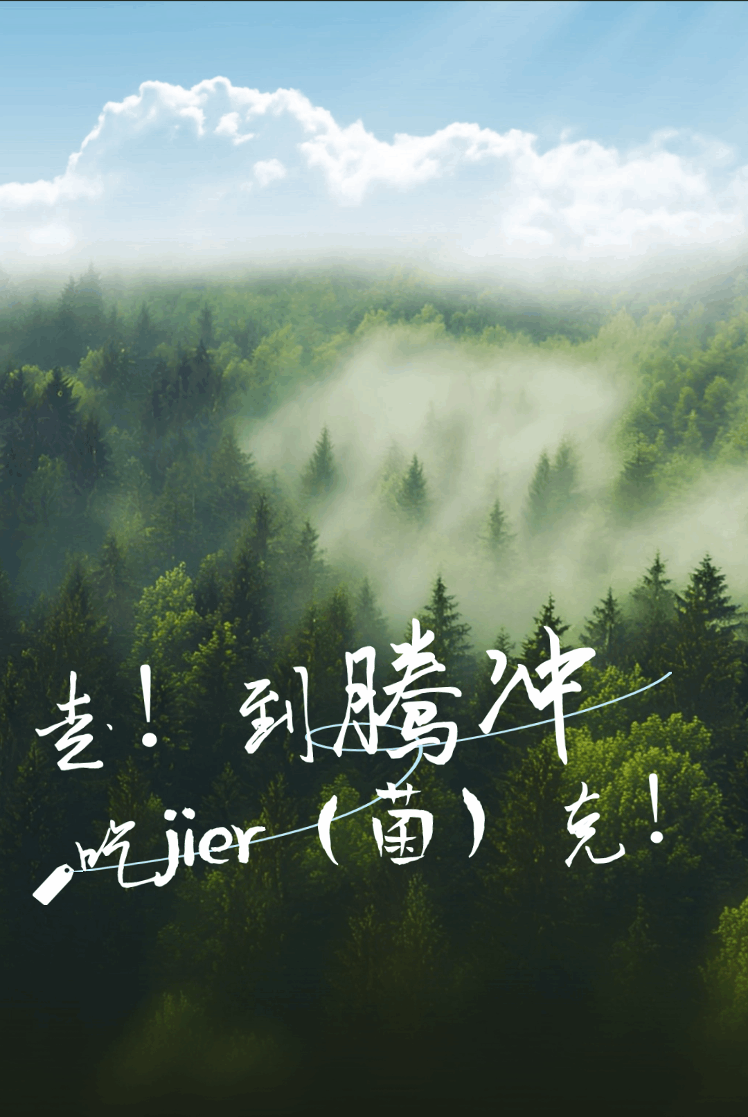 “走，到腾冲吃jier克！”丨大景慕尚酒店喊你来避暑吃菌啦~