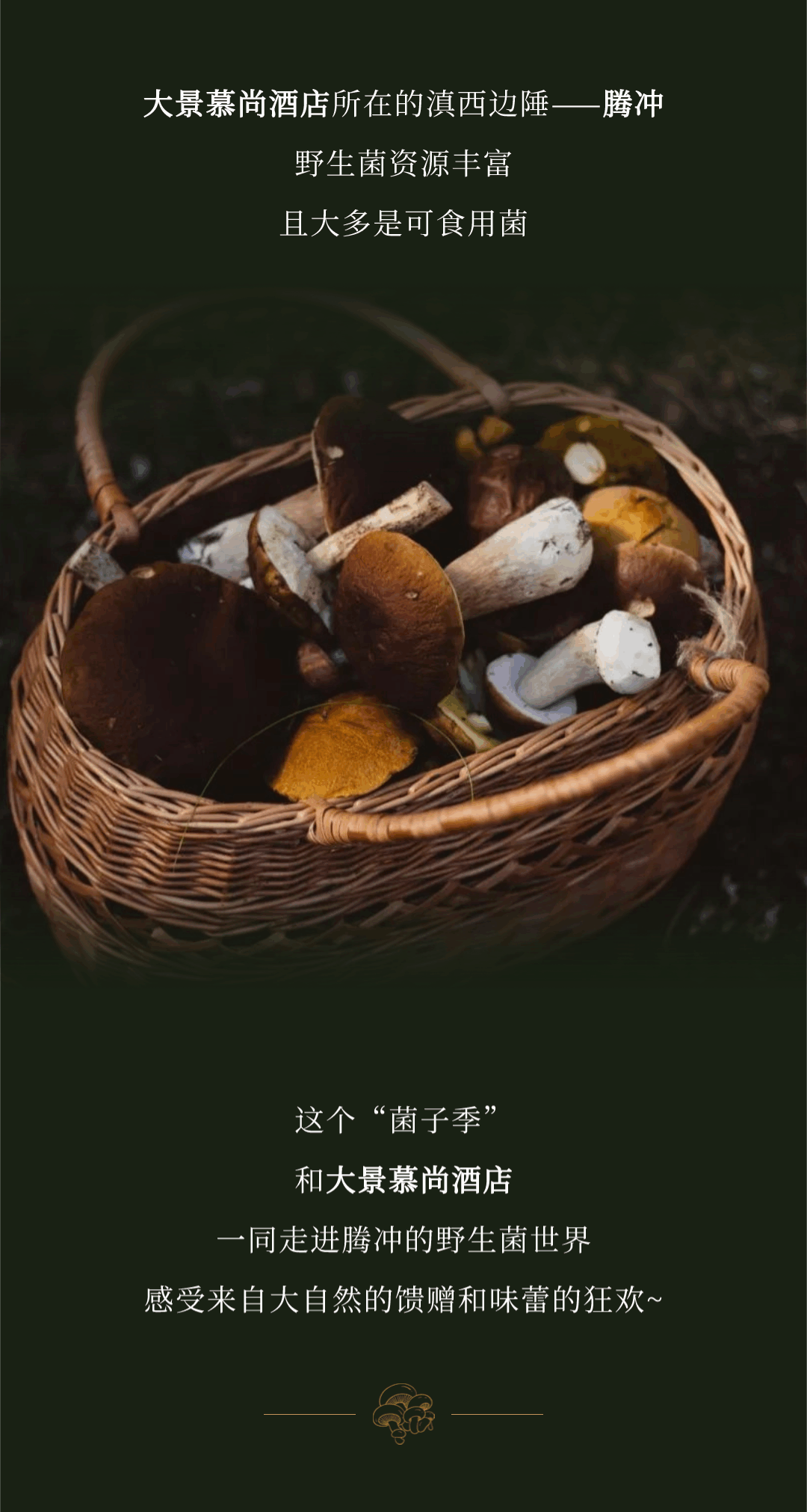 “走，到腾冲吃jier克！”丨大景慕尚酒店喊你来避暑吃菌啦~