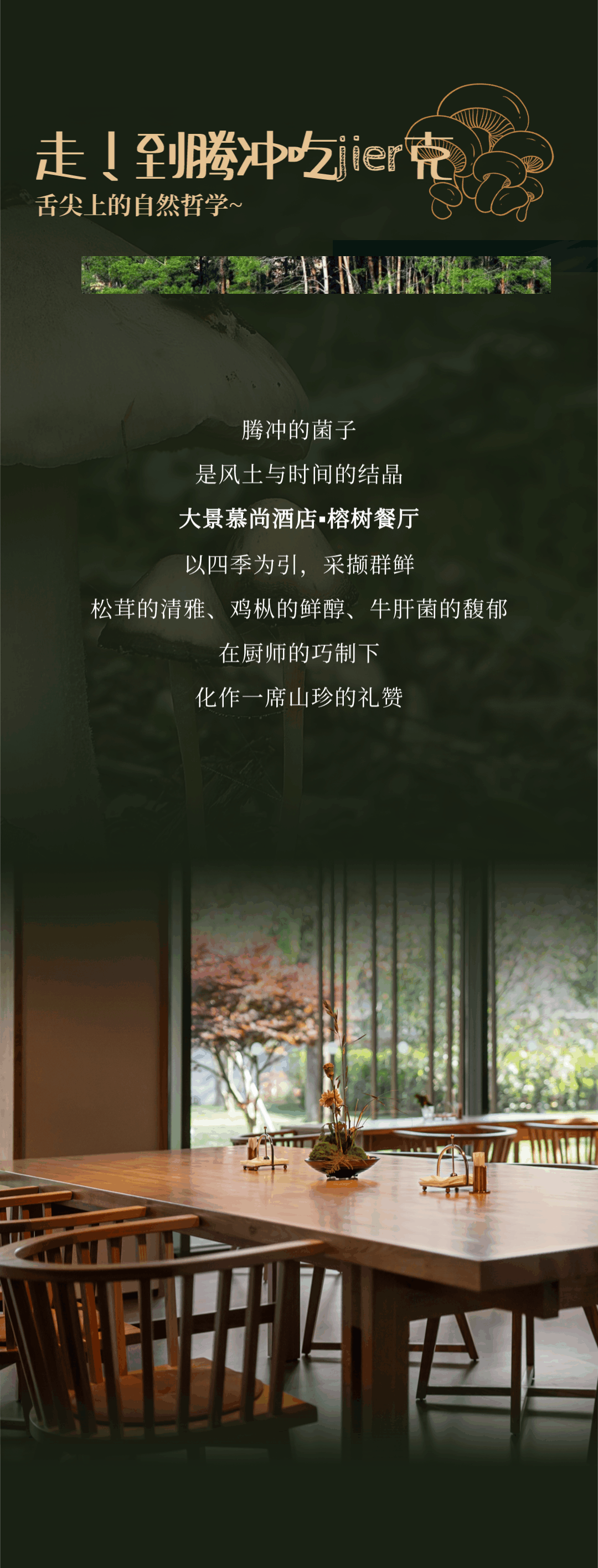 “走，到腾冲吃jier克！”丨大景慕尚酒店喊你来避暑吃菌啦~