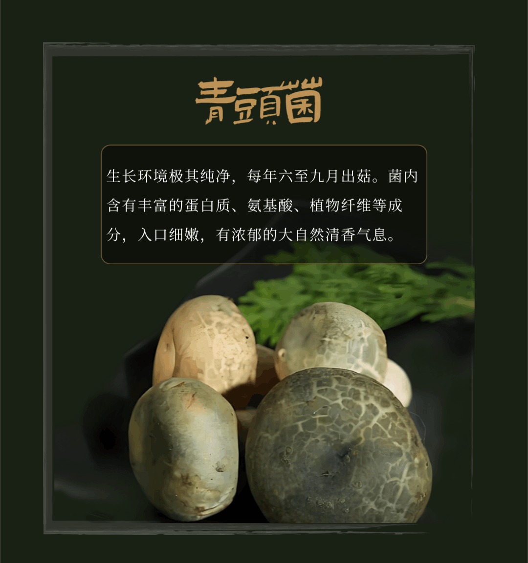 “走，到腾冲吃jier克！”丨大景慕尚酒店喊你来避暑吃菌啦~