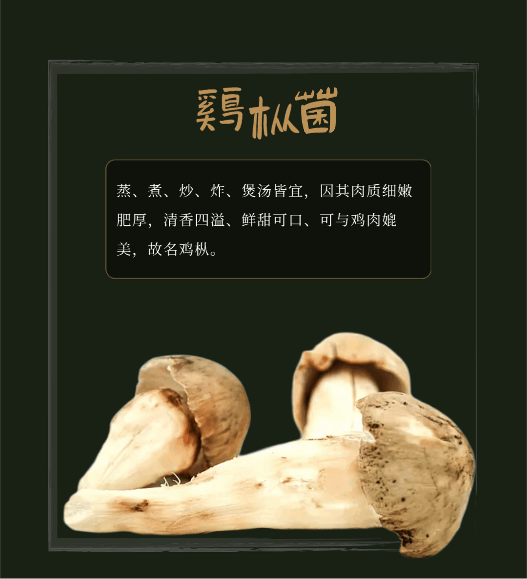 “走，到腾冲吃jier克！”丨大景慕尚酒店喊你来避暑吃菌啦~