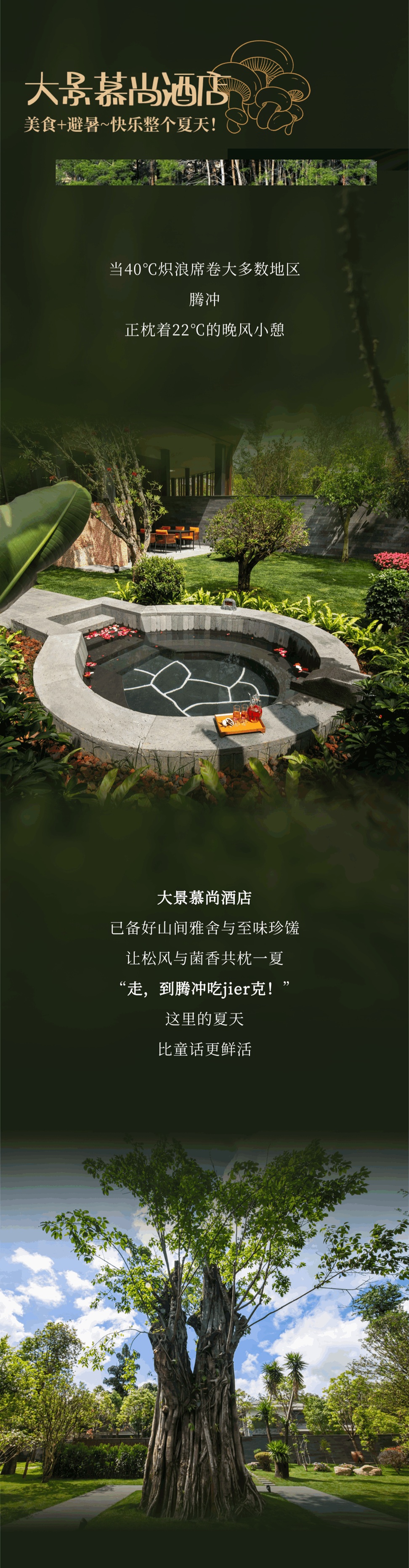 “走，到腾冲吃jier克！”丨大景慕尚酒店喊你来避暑吃菌啦~