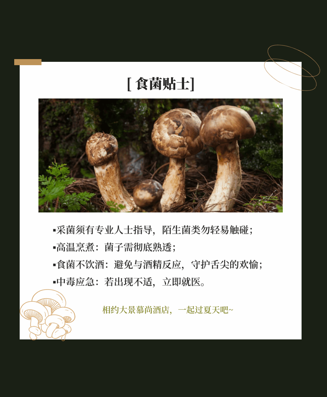 “走，到腾冲吃jier克！”丨大景慕尚酒店喊你来避暑吃菌啦~