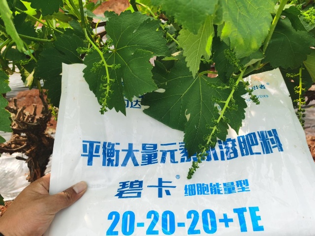 水溶肥厂家哪家实力强？