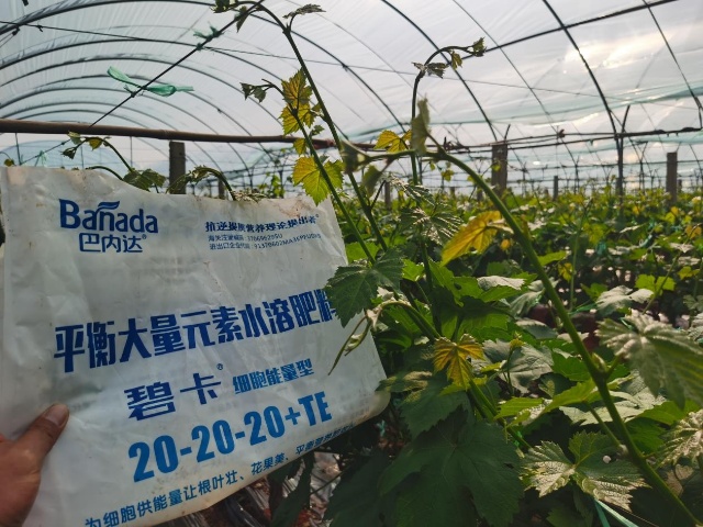 水溶肥厂家哪家实力强？