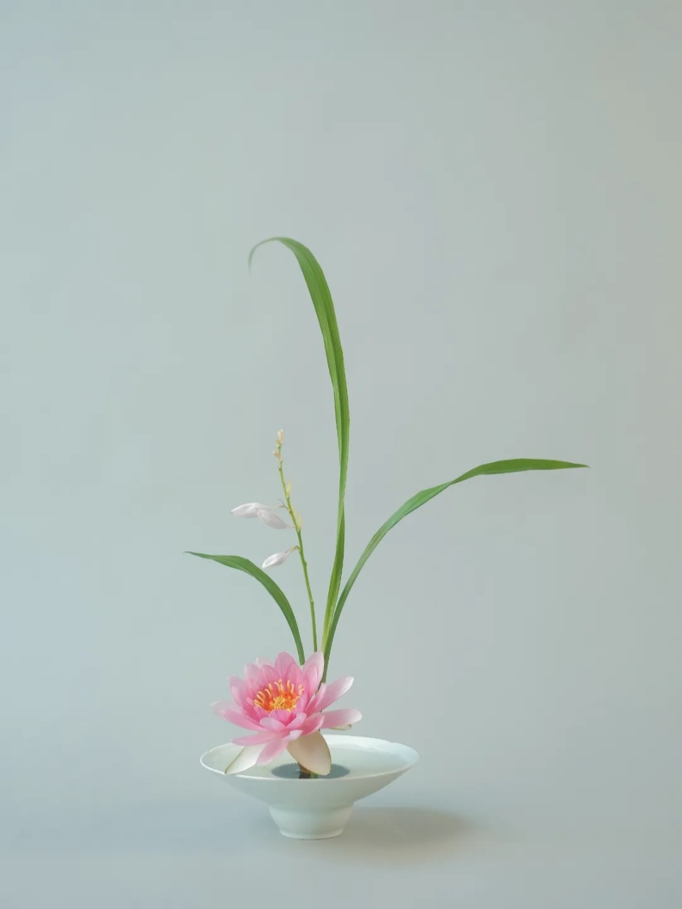 40个夏日清凉感插花,暑伏时节令你心旷神怡 40个夏日清凉感插花,暑伏时节令你心旷神怡