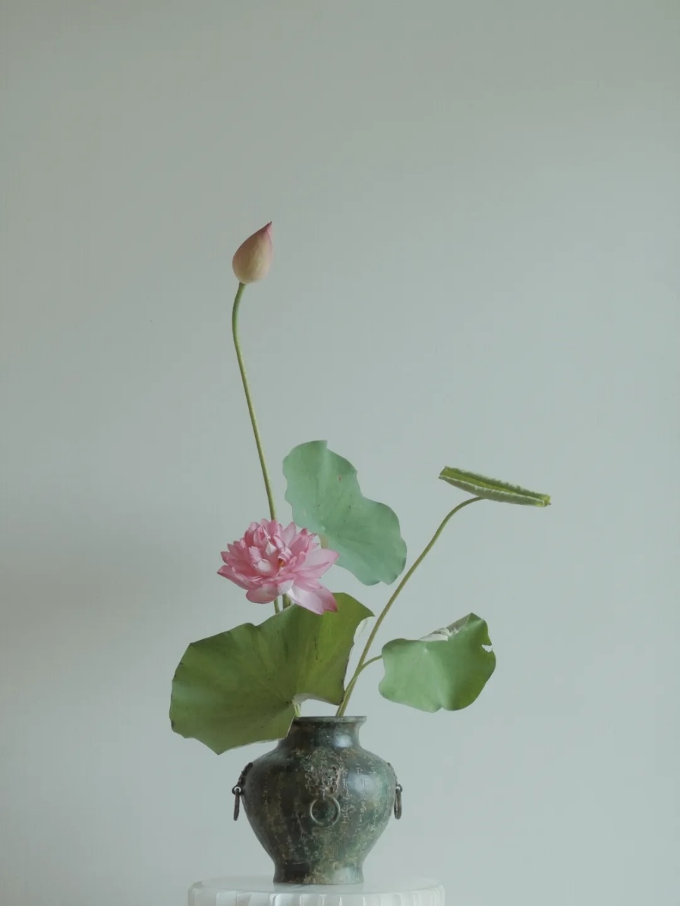 40个夏日清凉感插花,暑伏时节令你心旷神怡 40个夏日清凉感插花,暑伏时节令你心旷神怡