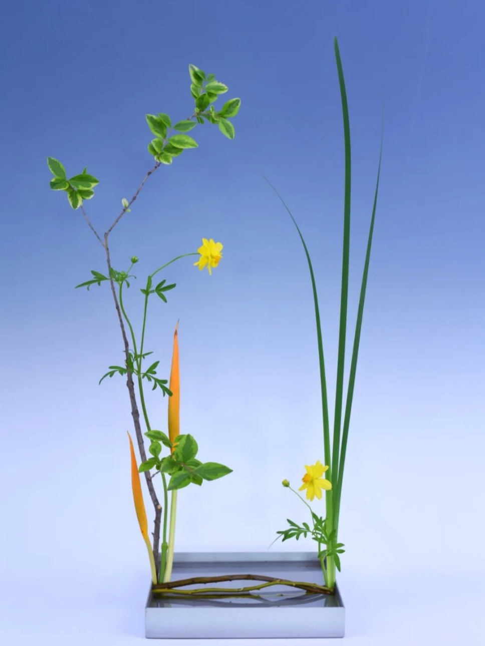 40个夏日清凉感插花,暑伏时节令你心旷神怡 40个夏日清凉感插花,暑伏时节令你心旷神怡