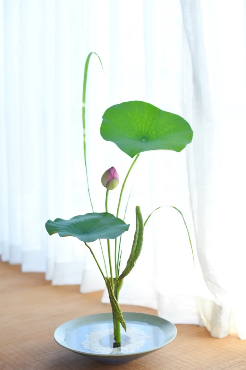 40个夏日清凉感插花,暑伏时节令你心旷神怡 40个夏日清凉感插花,暑伏时节令你心旷神怡