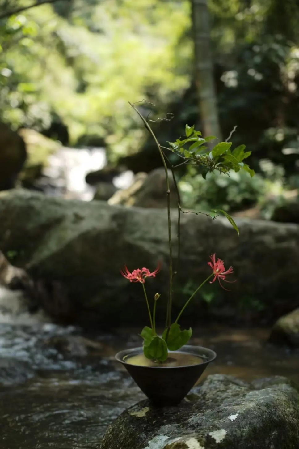 40个夏日清凉感插花,暑伏时节令你心旷神怡 40个夏日清凉感插花,暑伏时节令你心旷神怡