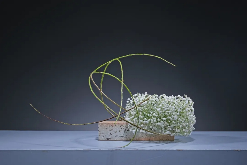 40个夏日清凉感插花,暑伏时节令你心旷神怡 40个夏日清凉感插花,暑伏时节令你心旷神怡