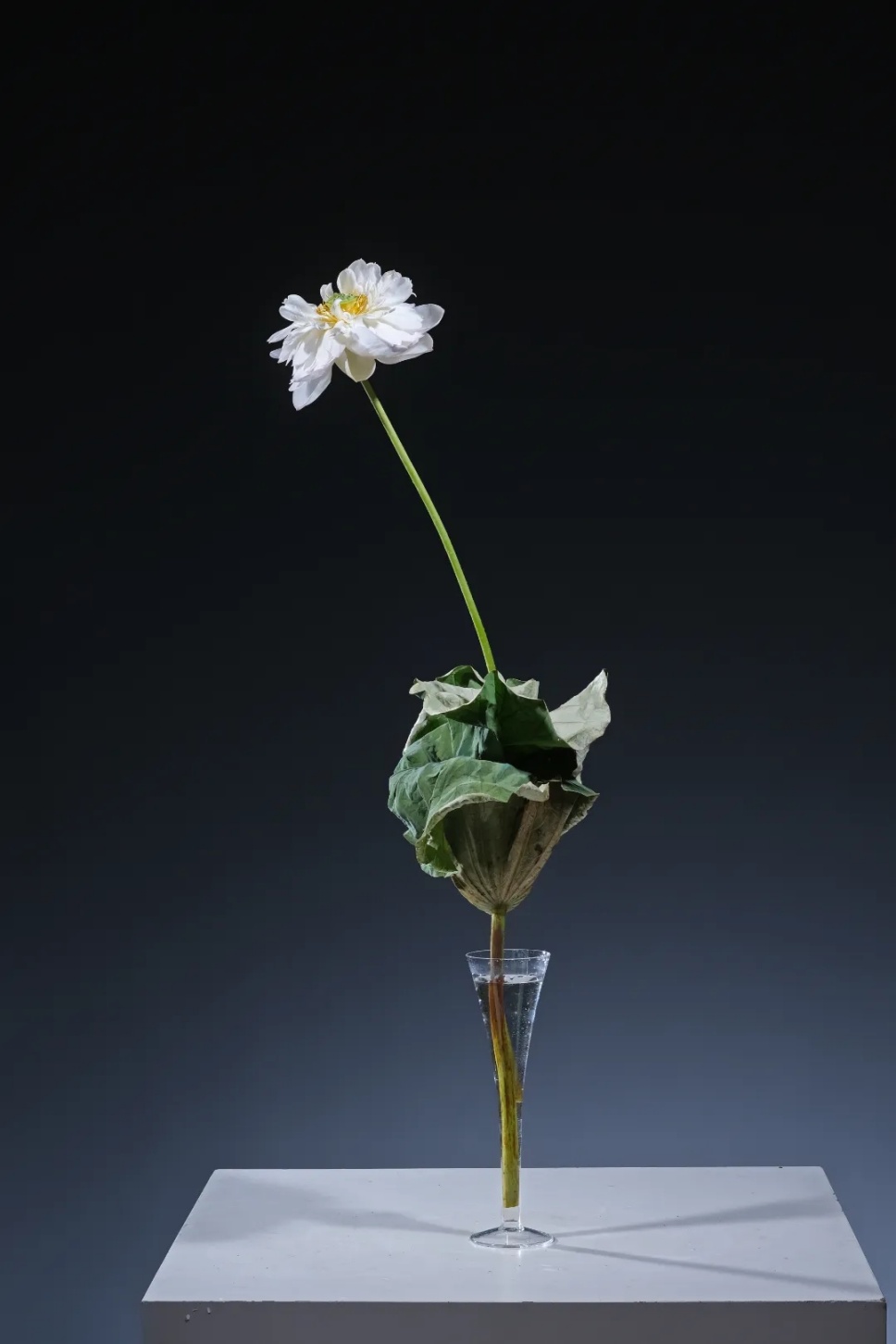 40个夏日清凉感插花,暑伏时节令你心旷神怡 40个夏日清凉感插花,暑伏时节令你心旷神怡