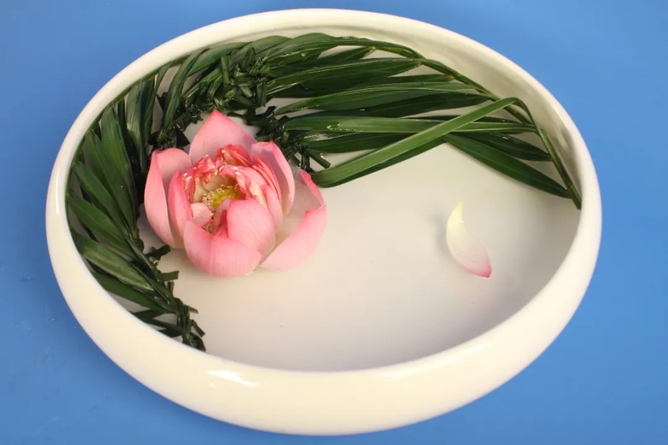 40个夏日清凉感插花,暑伏时节令你心旷神怡 40个夏日清凉感插花,暑伏时节令你心旷神怡