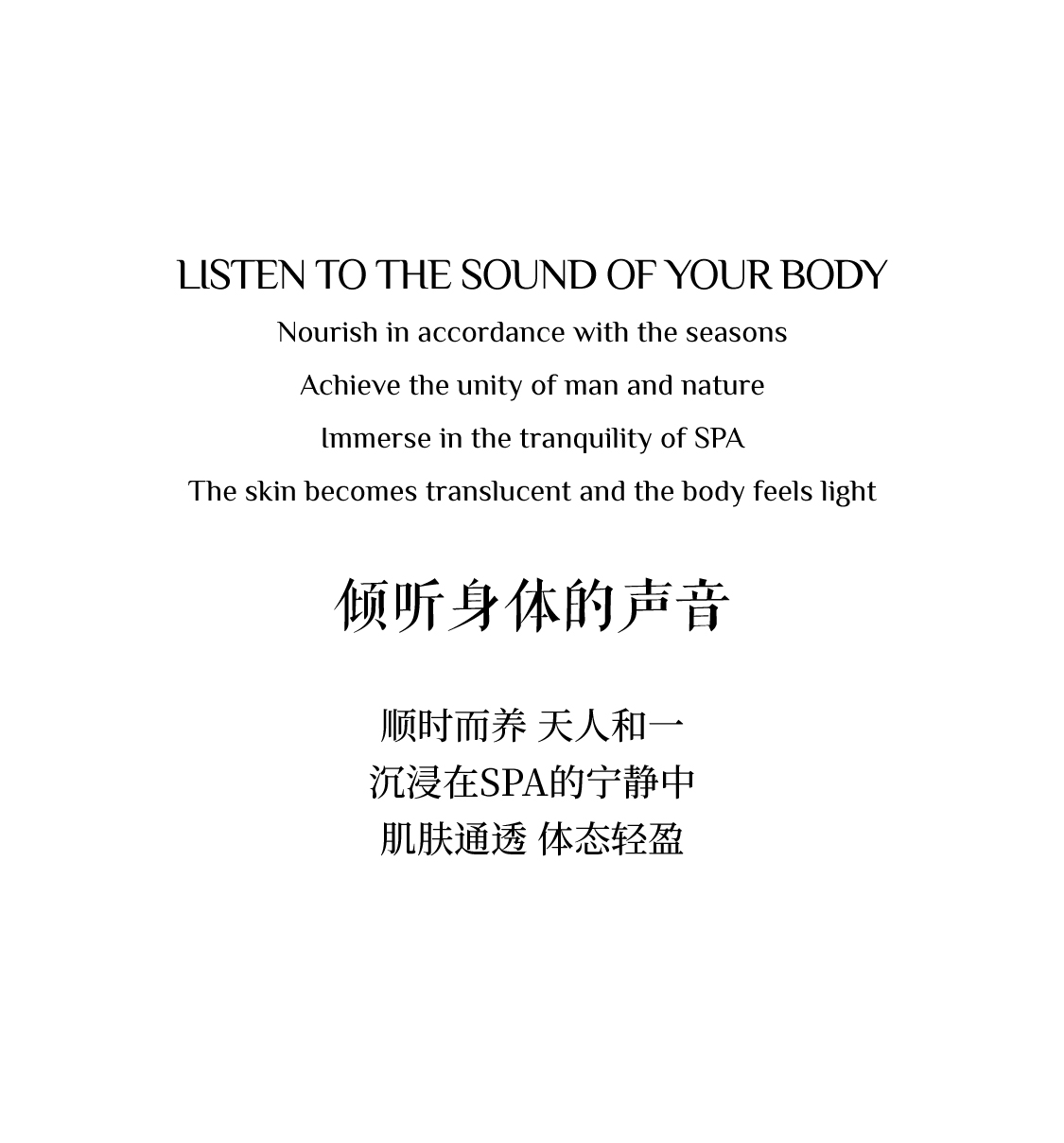 The Melody of Summer 夏意乐章