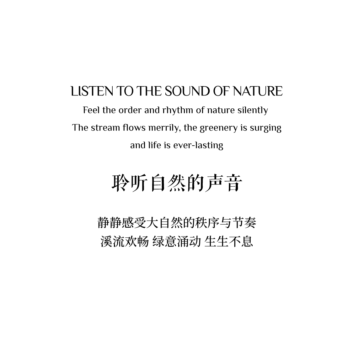 The Melody of Summer 夏意乐章