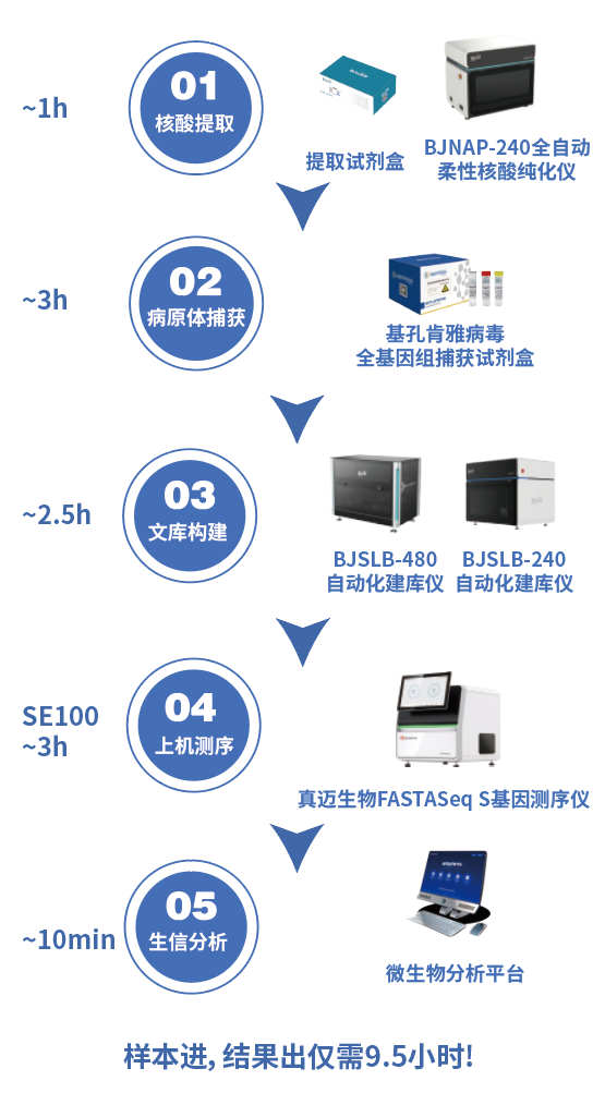 极速实测，仅需9.5小时！真迈x柏熠联合发布基于FASTASeq S的基孔肯雅病毒测序方案