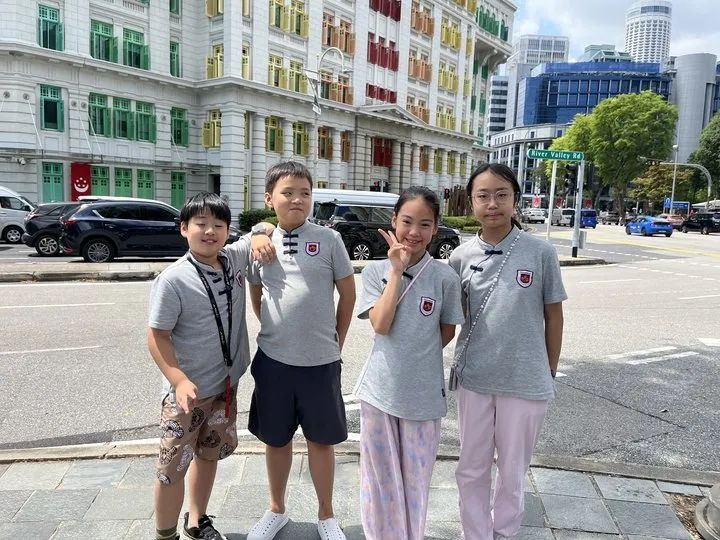 狮城印记：枫叶小熊的六色成长光谱
