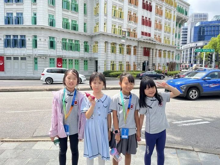 狮城印记：枫叶小熊的六色成长光谱