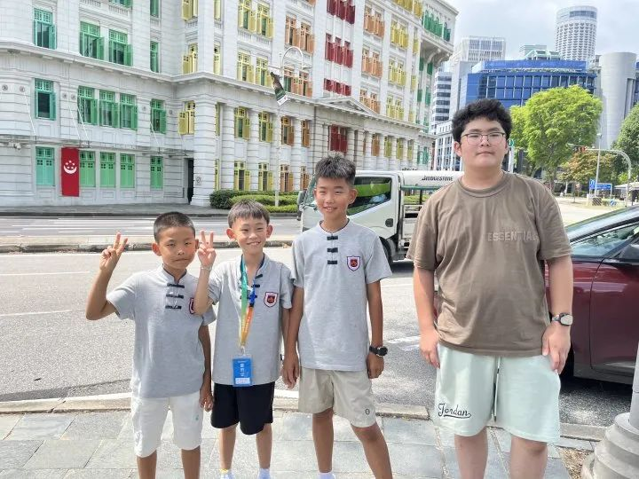 狮城印记：枫叶小熊的六色成长光谱