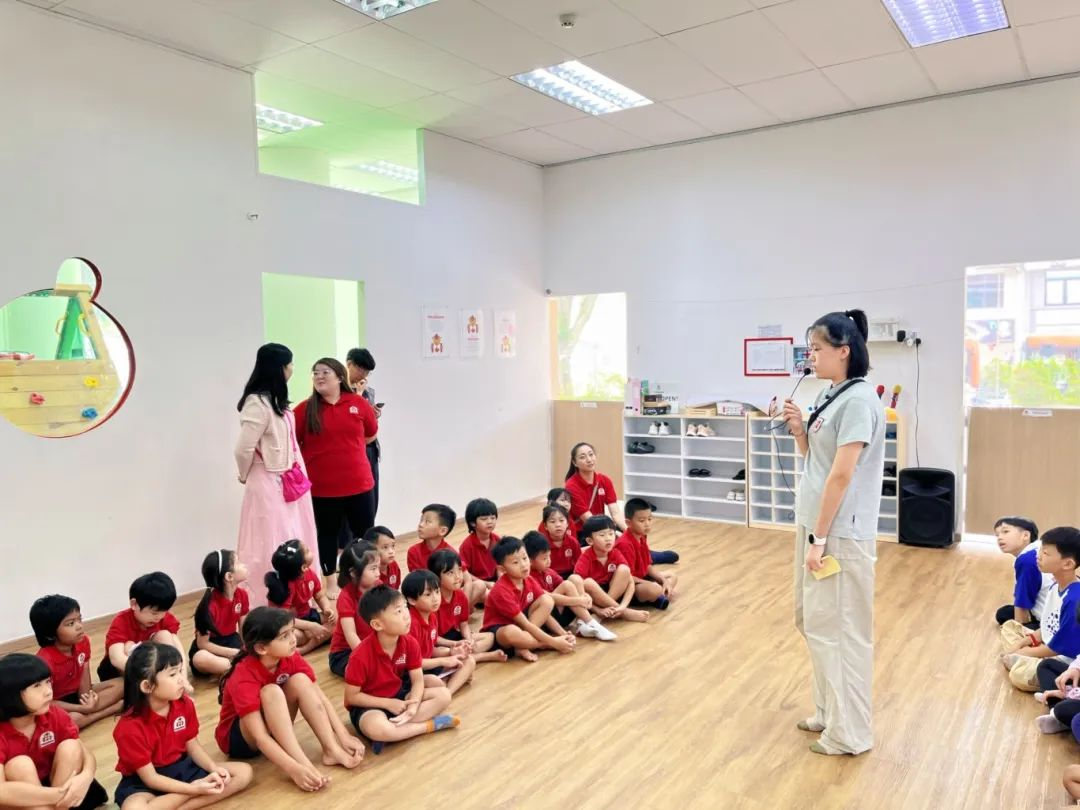 狮城印记：枫叶小熊的六色成长光谱