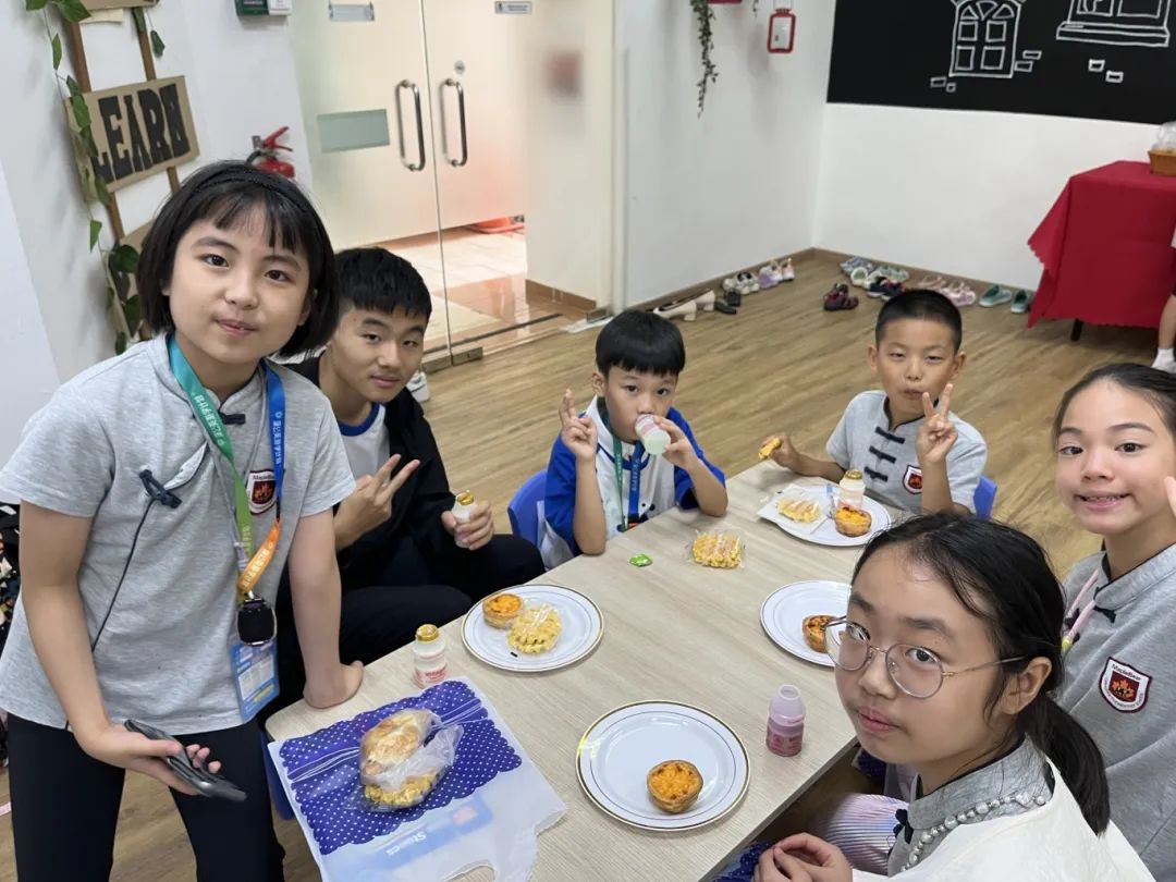 狮城印记：枫叶小熊的六色成长光谱