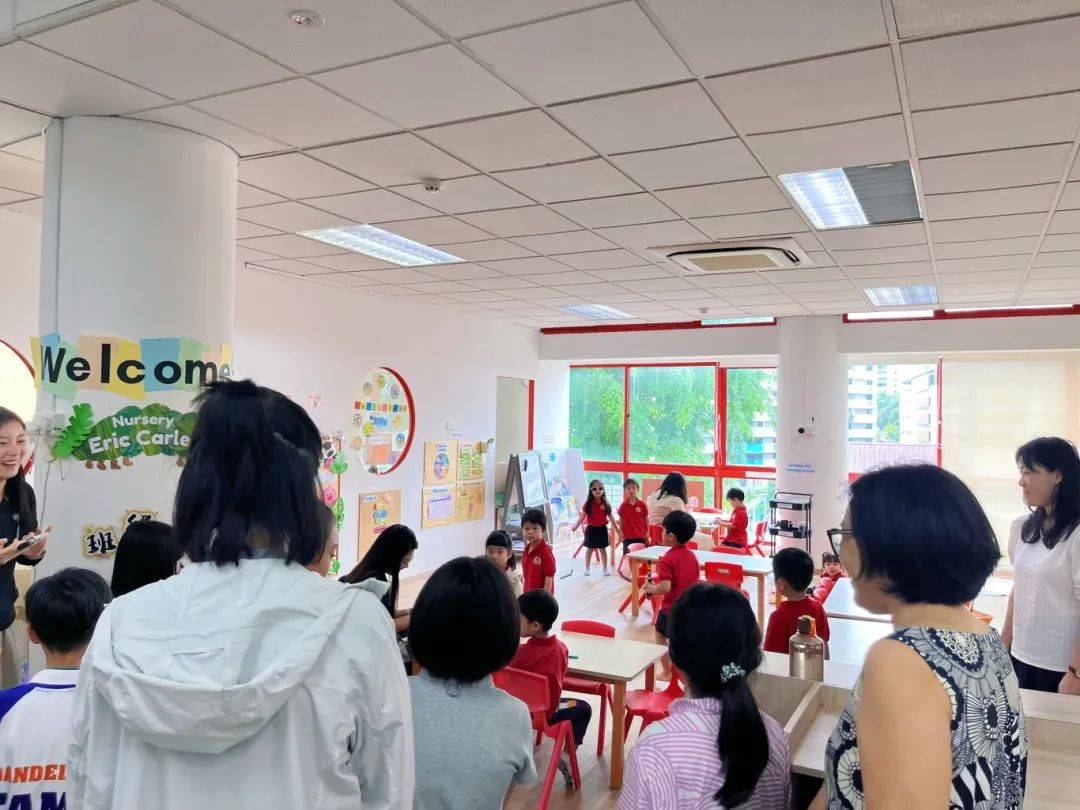 狮城印记：枫叶小熊的六色成长光谱