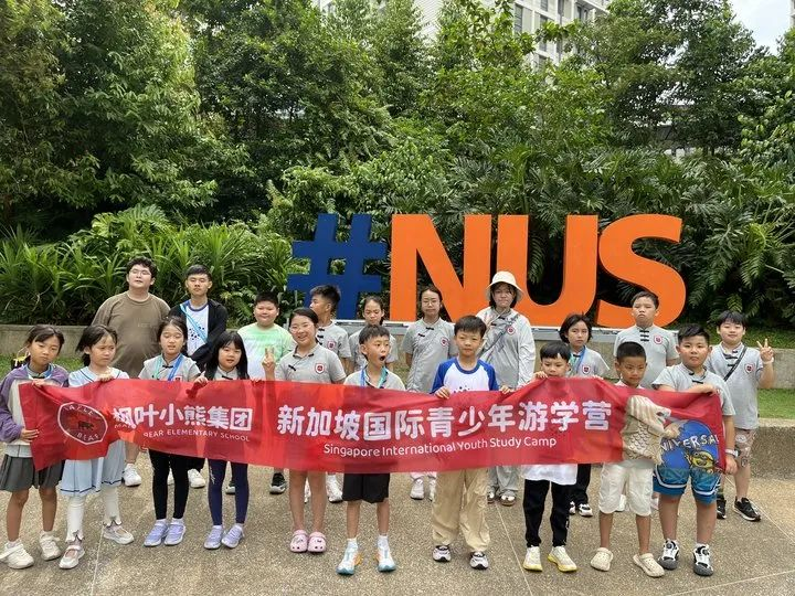 狮城印记：枫叶小熊的六色成长光谱