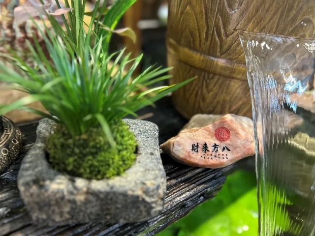 文人书房茶室必备绿植!瞬间提升气质! 文人书房茶室必备绿植!瞬间提升气质!
